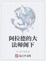 阿拉德的大法师阁下